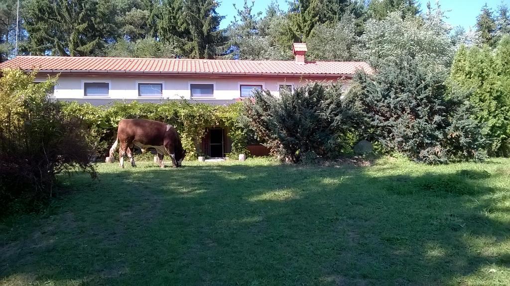 Orsegi Patakparti Alpaka Panzio Bed and Breakfast Kisrakos Εξωτερικό φωτογραφία